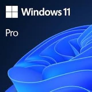 MS WIN 11 64 Bit OEM DVD Lifetime (Pro Edition)