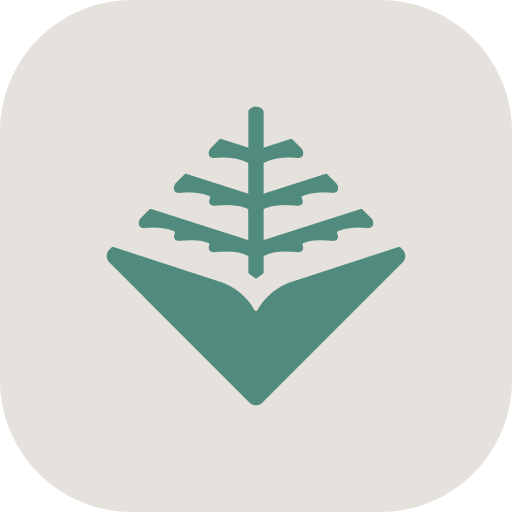 Life Application Study Bible