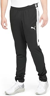Puma Men's Speed Pant Pants