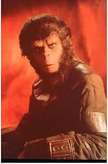 Planet of the Apes Roddy McDowall as Cornelius Posing 8 x 10 Inch Photo