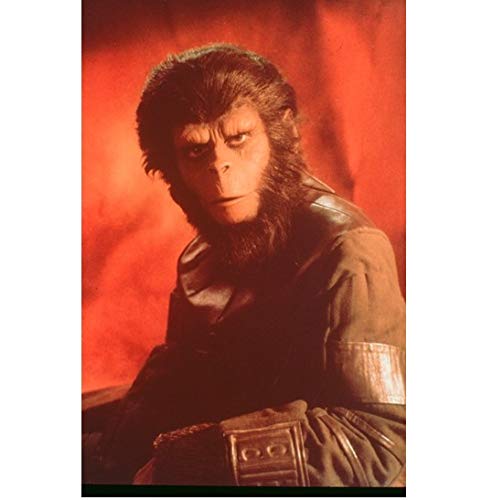 Planet of the Apes Roddy McDowall as Cornelius Posing 8 x 10 Inch Photo