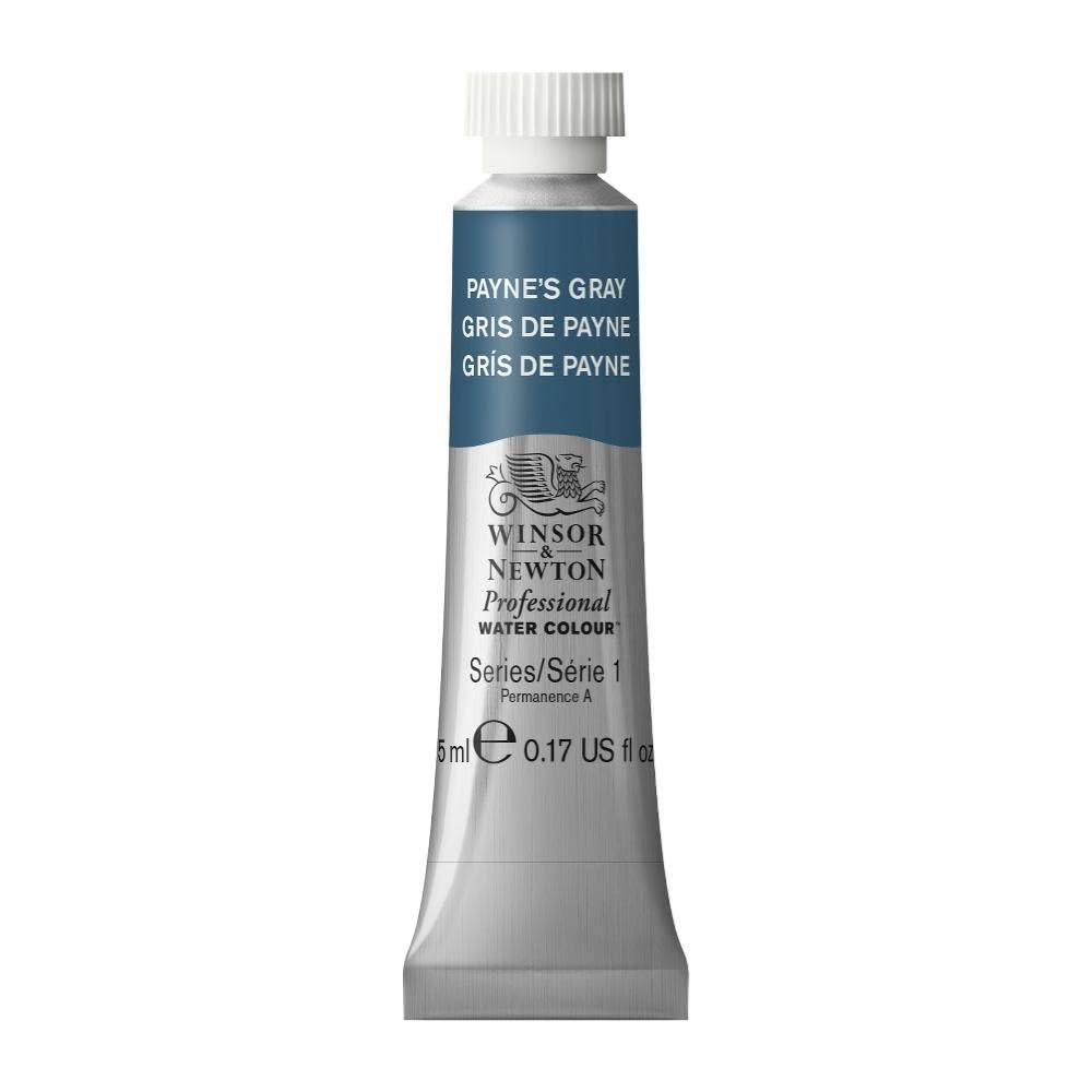 Winsor & Newton Professional Watercolor, 5ml Tube, Payne's Gray | Unrivalled Tra