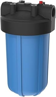 Pentair Pentek 150237 Big Blue Whole House Filter Housing, 1" NPT 10-Inch | HFPP Cap with Pressure Relief; 1 in NPT Ports; Fits Any 10 x 4.5 in Cartridge; NSF/ANSI 42 Certified; Cartridge Not Included