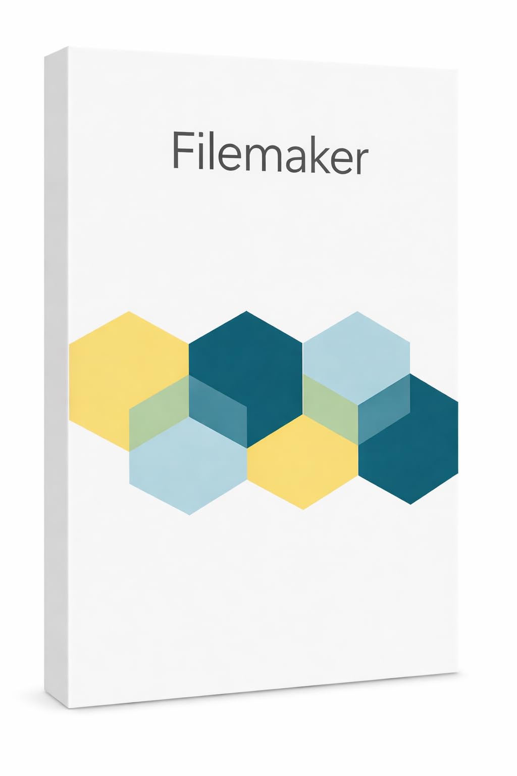 File - Maker Pro 19 for Windows/Mac