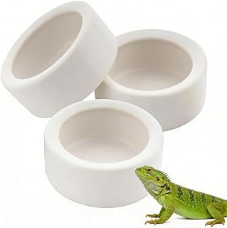 Quhoxdye 3 Pcs Reptile Bowl Food Dish Reptile Water Food Feeding Dish Ceramic Worm Pet Bowl Anti Escape Feeder for Lizard Anoles Chameleon Bearded Dragon Hermit Crab Feeding (White-1.97Inch)