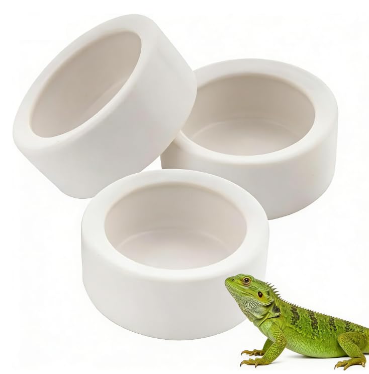 Quhoxdye 3 Pcs Reptile Bowl Food Dish Reptile Water Food Feeding Dish Ceramic Wo