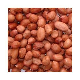 5kg bag wild bird peanuts, FREE Express delivery | Whole Peanuts for Wild Bird F