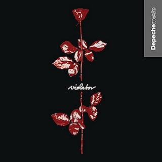 VIOLATOR