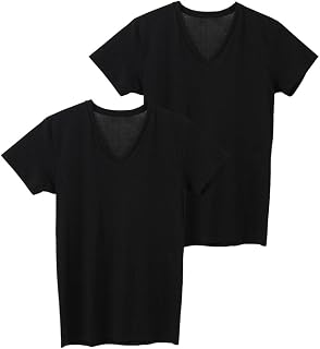Gunze Men's Inner Shirt, The GUNZE Standard V-Neck T-Shirt, Set of 2