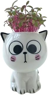 Cartoon Cat Mini Ceramic Flower Pot - Cute Plant in Pot for Desk Decoration