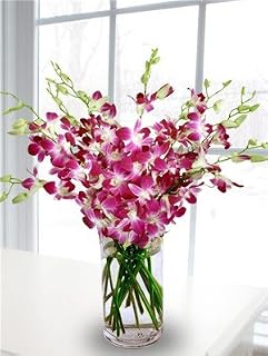 eFlowerWholesale Premium Fresh-Cut Purple Orchids with Vase (20 Stems) – Elegant Floral Gift for Birthdays, Mother's Day, Easter, Graduation, Back to school | Support a Small Business