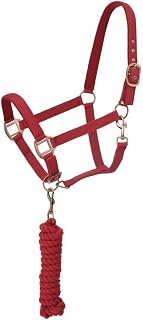 Tough 1 Neoprene Padded Halter with Antique Hardware Lead Set