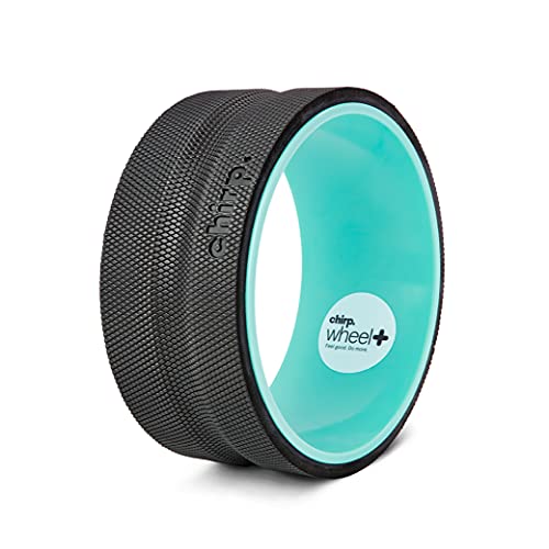 Chirp Wheel Back Stretcher w/Sweat-Resistant Foam Padding, 10" Medium Body Rolle