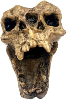 Aztec Death Whistle - Conjoined