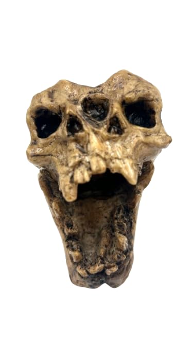 Aztec Death Whistle - Conjoined