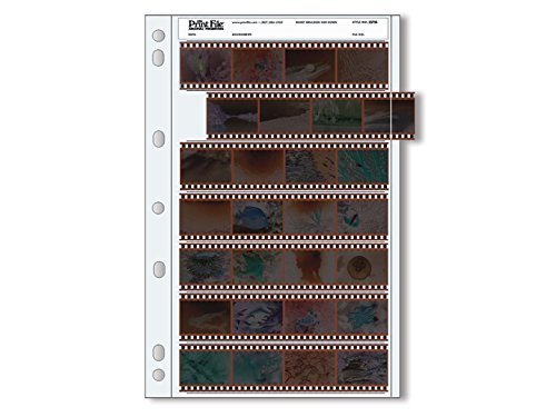 Print File Archival 35mm Size Negative Pages Holds Seven Strips of Four Frames, 
