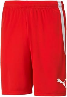 PUMA Teamliga Men's Shorts