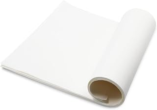 Chinese Blank Xuan Paper Raw, Calligraphy Brush Ink Writing Sumi Rice Paper without Grids, White Sheng Xuan Paper for Beginner & Intermediate Practice Painting Techniques (30Pcs)