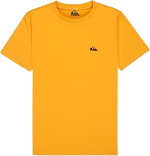 Quiksilver Basic SS Tee Youth T-Shirt Children and Youth