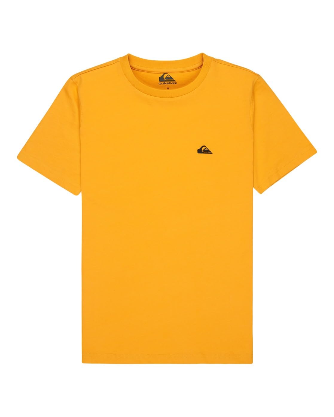 Quiksilver Basic SS Tee Youth T-Shirt Children and Youth