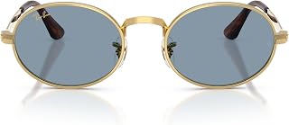 Ray-Ban A$AP Rocky RB3931 Wired Metal Collection Oval Sunglasses