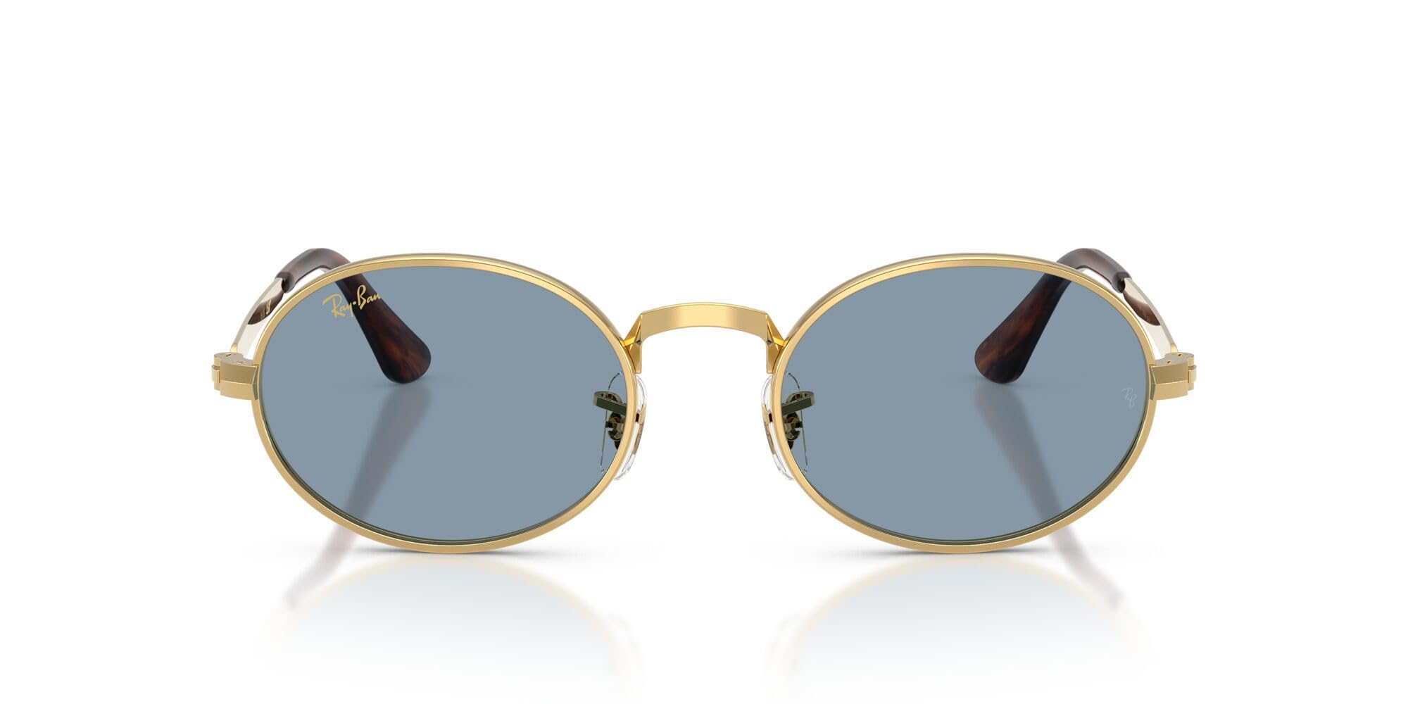 Ray-Ban A$AP Rocky RB3931 Wired Metal Collection Oval Sunglasses
