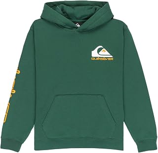 Quiksilver Omni Logo Hoodie Pullover Children and Youth (Pack of 1)