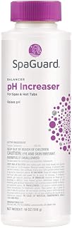 SpaGuard pH Increaser, 1.12 lb, Single Pack | pH Raiser for Spas & Hot Tubs, Protects Equipment from Corrosion, Balances Water