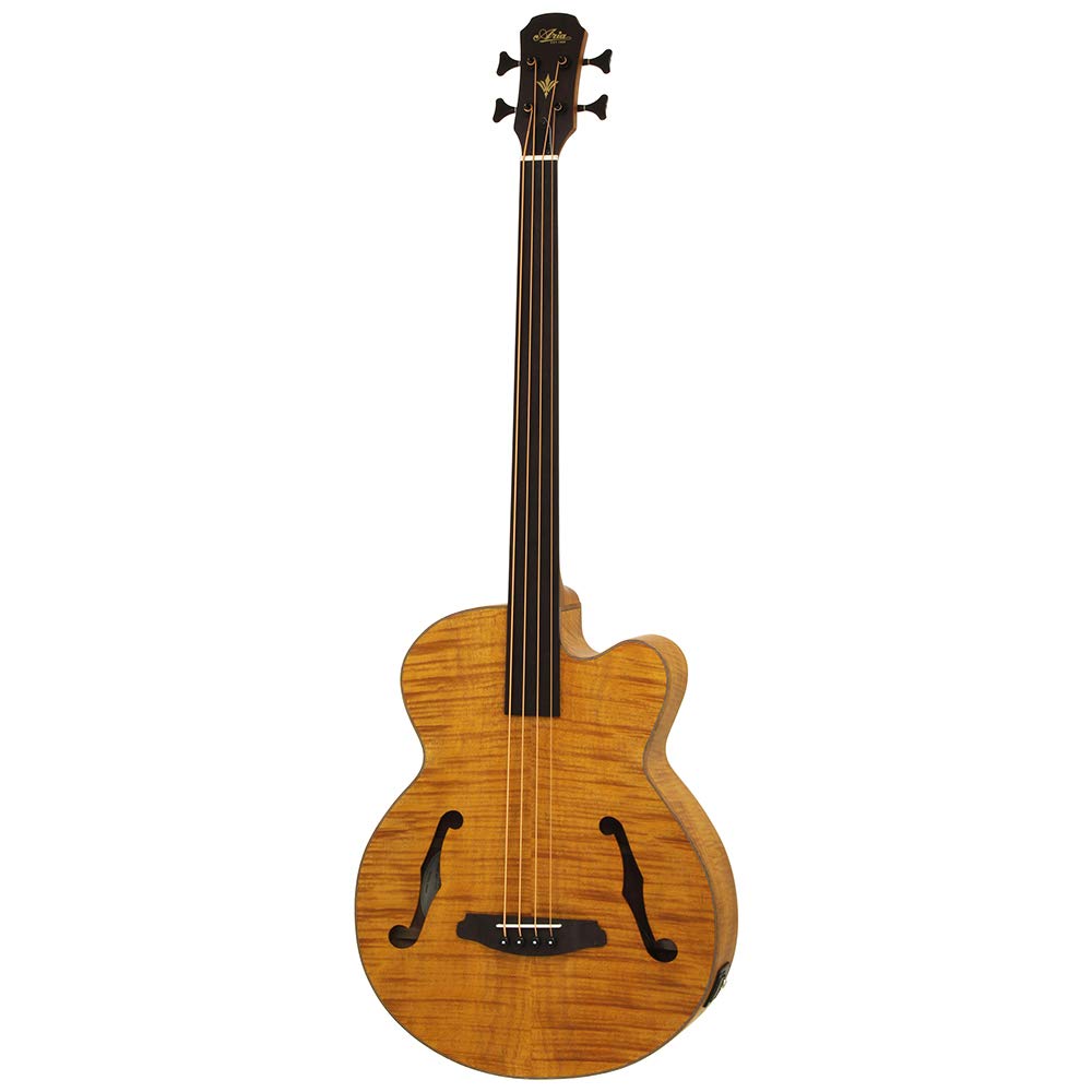ARIA FEB-F2/FL STBR Fretless Electric Acoustic Base