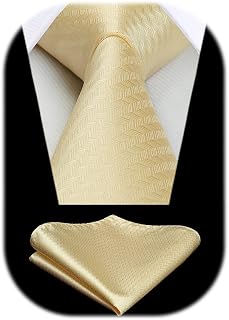HISDERN Men's Tie and Handkerchief Elegant Neckties Fashion Wedding Houndstooth Pattern Business Party Tie Set