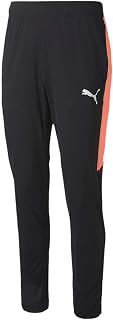 Puma Men's Speed Pant Pants