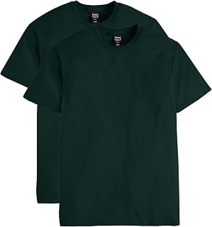 Hanes Nano Premium Cotton Men's T-Shirt (Pack of 2)