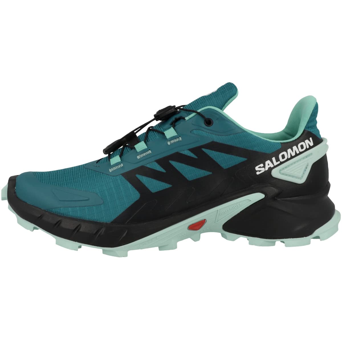 Salomon Quest 4D GTX W 108712, Women's Outdoor Shoes
