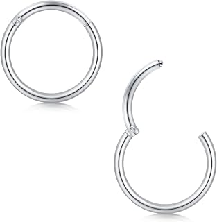 Briana Williams 2pcs Hinged Clicker Segment Nose Rings Hoop Septum Ring 316L Surgical Steel Helix Cartilage Daith Tragus Earrings for Women Men, 20G 18G 16G, Diameter 5mm to 12mm
