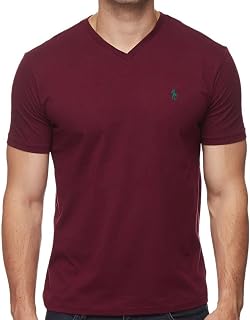 POLO RALPH LAUREN Classic Fit V-Neck T-Shirt
