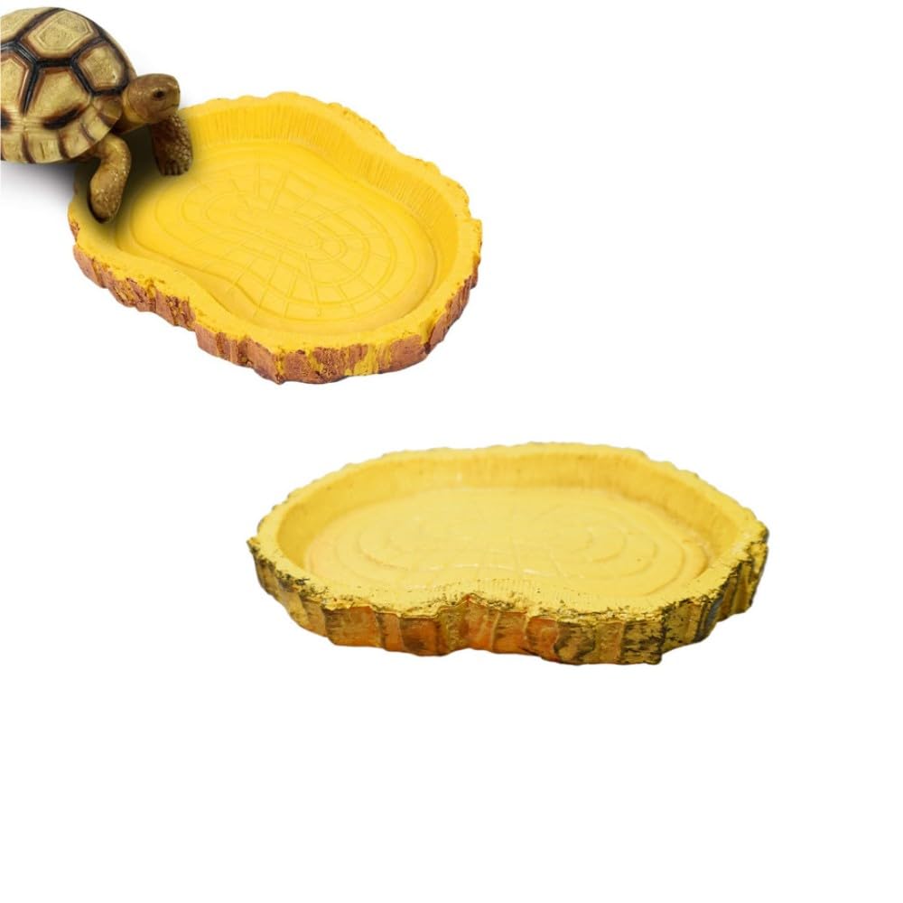 FUNNTY Two Food Feeding Bowls, Resin Reptile Bowls, Water Bowls, and Turtle Bowl