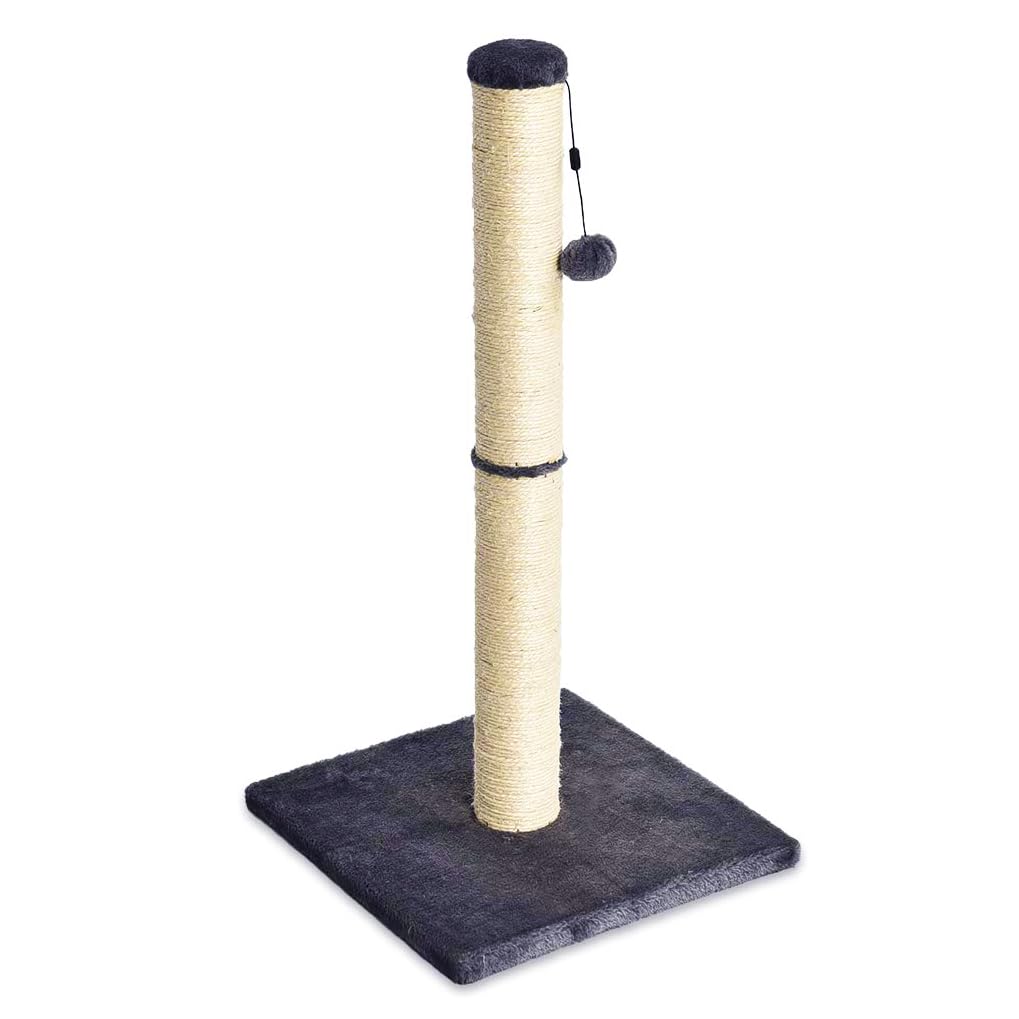 Amazon Basics Cat Scratching Post for Indoor Cats & Kittens, Medium (31.5"H), Ca