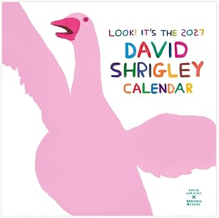 Official David Shrigley - 2027 Wall Calendar - Contemporary Art - Funny Gift Ideas - Funny Calendar For Him Her Friend Mates - Sold Exclusively by Brainbox Candy