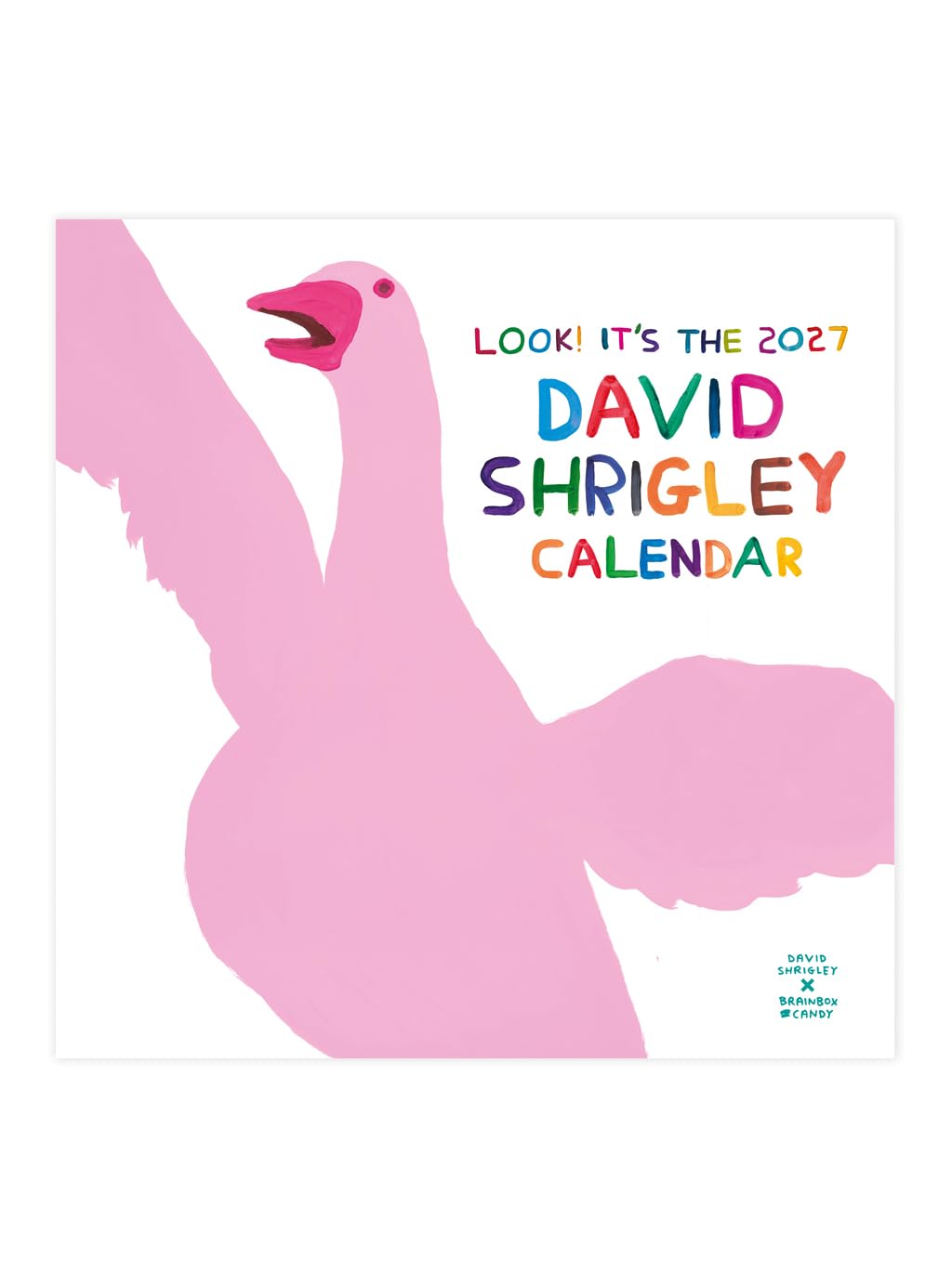 Official David Shrigley - 2027 Wall Calendar - Contemporary Art - Funny Gift Ide