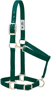 Weaver Leather Basic Adjustable Nylon Halter, Hunter Green, 1" Average Horse