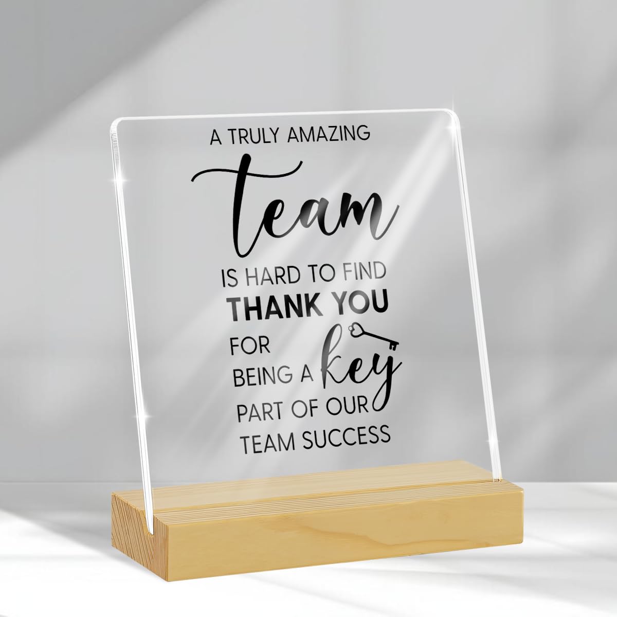 Team Gifts Team Appreciation Gifts for Employee Leader Coach Thank You Gifts for
