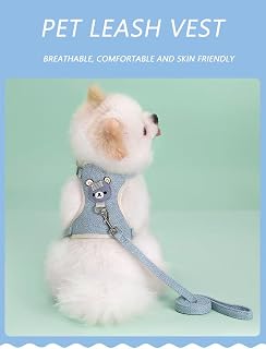 Pet Cat Dog Chest Harness and Leash, Soft Cat Dog Pet Vest with Rope, Adjustable Dog Walking Harness, Small Dogs, Cats, Pets Only, Size L, Red