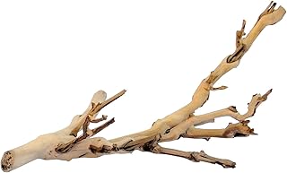 Exo Terra Forest Branch, Small | For Reptiles, Amphibians & Small Pets