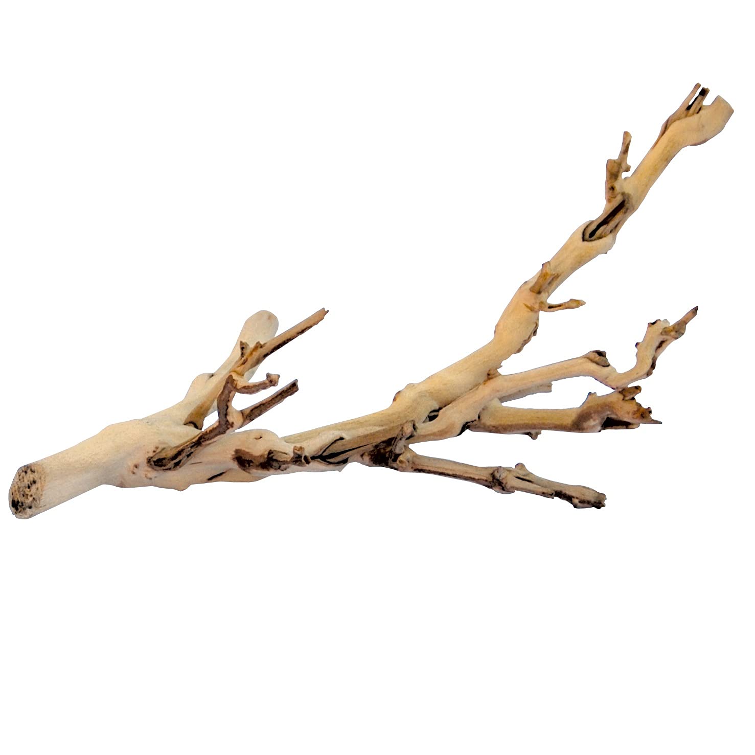 Exo Terra Forest Branch, Small | For Reptiles, Amphibians & Small Pets