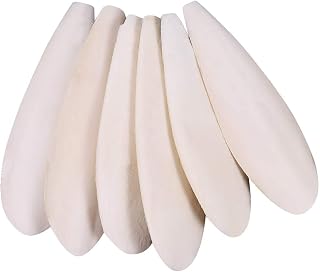 angelikashalala 6 Pcs Parrots Chew Toys | Natural Cuttlefish Bone for Parrots Cage Birds Reptiles Tortoises Snails,10-12cm
