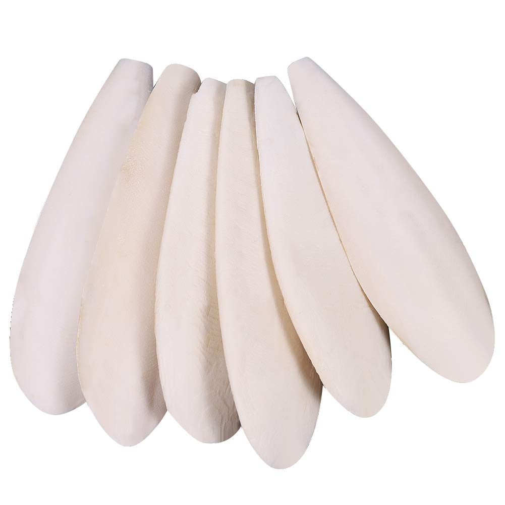 angelikashalala 6 Pcs Parrots Chew Toys | Natural Cuttlefish Bone for Parrots Ca