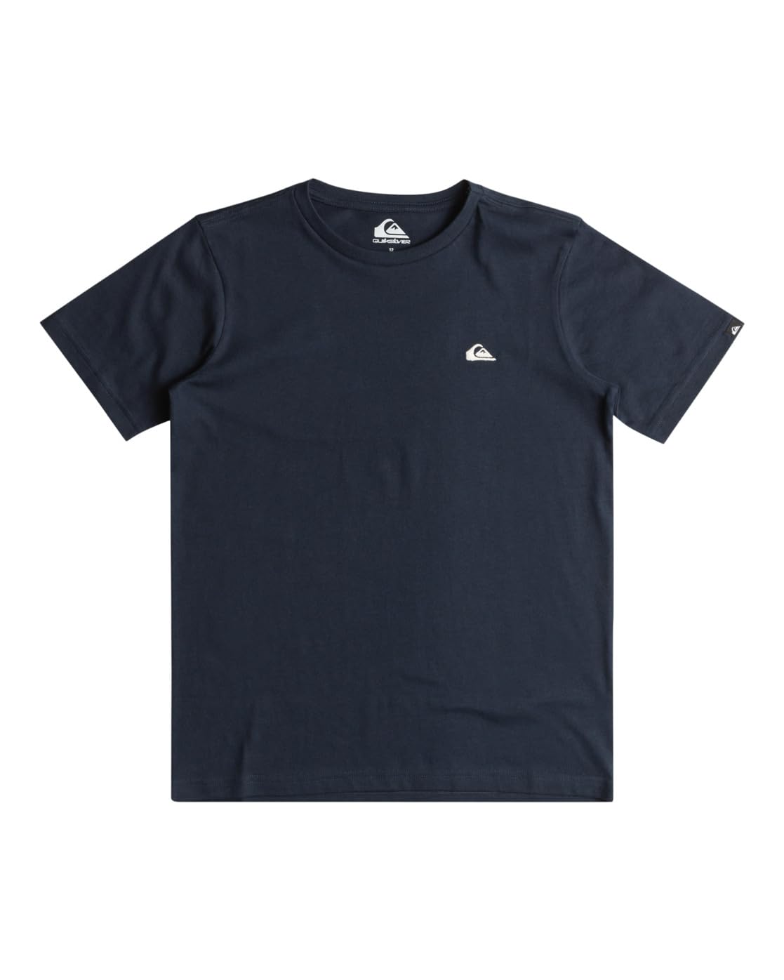 Quiksilver Men's Basic SS Tee Young Men's T-Shirt (Pack of 1)