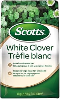 Scotts White Clover Lawn Seed, 1kg (Covers 1,100 Sq. Ft.) – Low-Maintenance, Self-Fertilizing, Drought-Tolerant Grass Seed Alternative for Eco-Friendly Lawns
