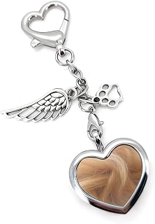 CYLDGNS Pet Fur Memorial Keychain, Lock of Fur Hair Key Chain, Pet Remembrance Key Ring, Stainless Steel Glass Pet Loss Gift for Grieving Pet Owners, Holds Dog or Cat Hair