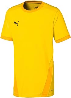 Puma teamgoal 23 jersey jr